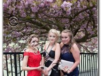 27-04-2017  E2A5806 : proms moelwyn 2017