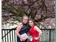 27-04-2017  E2A5810 : proms moelwyn 2017