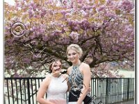 27-04-2017  E2A5812 : proms moelwyn 2017