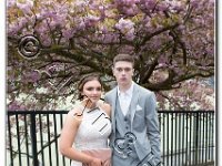 27-04-2017  E2A5816 : proms moelwyn 2017