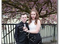 27-04-2017  E2A5817 : proms moelwyn 2017