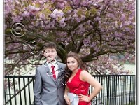 27-04-2017  E2A5824 : proms moelwyn 2017