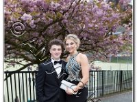 27-04-2017  E2A5826 : proms moelwyn 2017