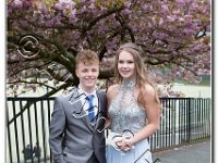 27-04-2017  E2A5828 : proms moelwyn 2017