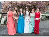 27-04-2017  E2A5841 : proms moelwyn 2017
