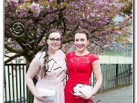 27-04-2017  E2A5842 : proms moelwyn 2017