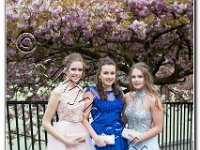 27-04-2017  E2A5848 : proms moelwyn 2017