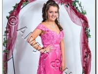 27-04-2017  E2A5869 : proms moelwyn 2017