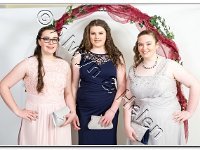 27-04-2017  E2A5919 : proms moelwyn 2017