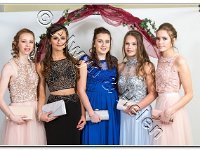 27-04-2017  E2A5981 : proms moelwyn 2017