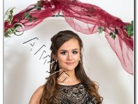 27-04-2017  E2A6039 : proms moelwyn 2017
