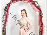 27-04-2017  E2A6084 : proms moelwyn 2017