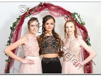 27-04-2017  E2A6195 : proms moelwyn 2017