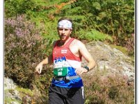 26-09-2015 D47I1615 : 2015, trailffest