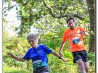 26-09-2015 D47I1734 : 2015, trailffest