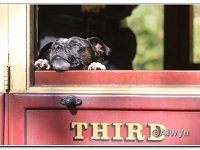 26-09-2015 D47I1889 : 2015, trailffest