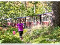26-09-2015 D47I1946 : 2015, trailffest