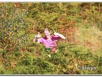 26-09-2015 D47I2125 : 2015, trailffest