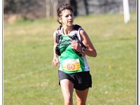 08-04-2017 D47I4867 : ras y moelwyn 2017