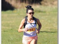 08-04-2017 D47I5001 : ras y moelwyn 2017